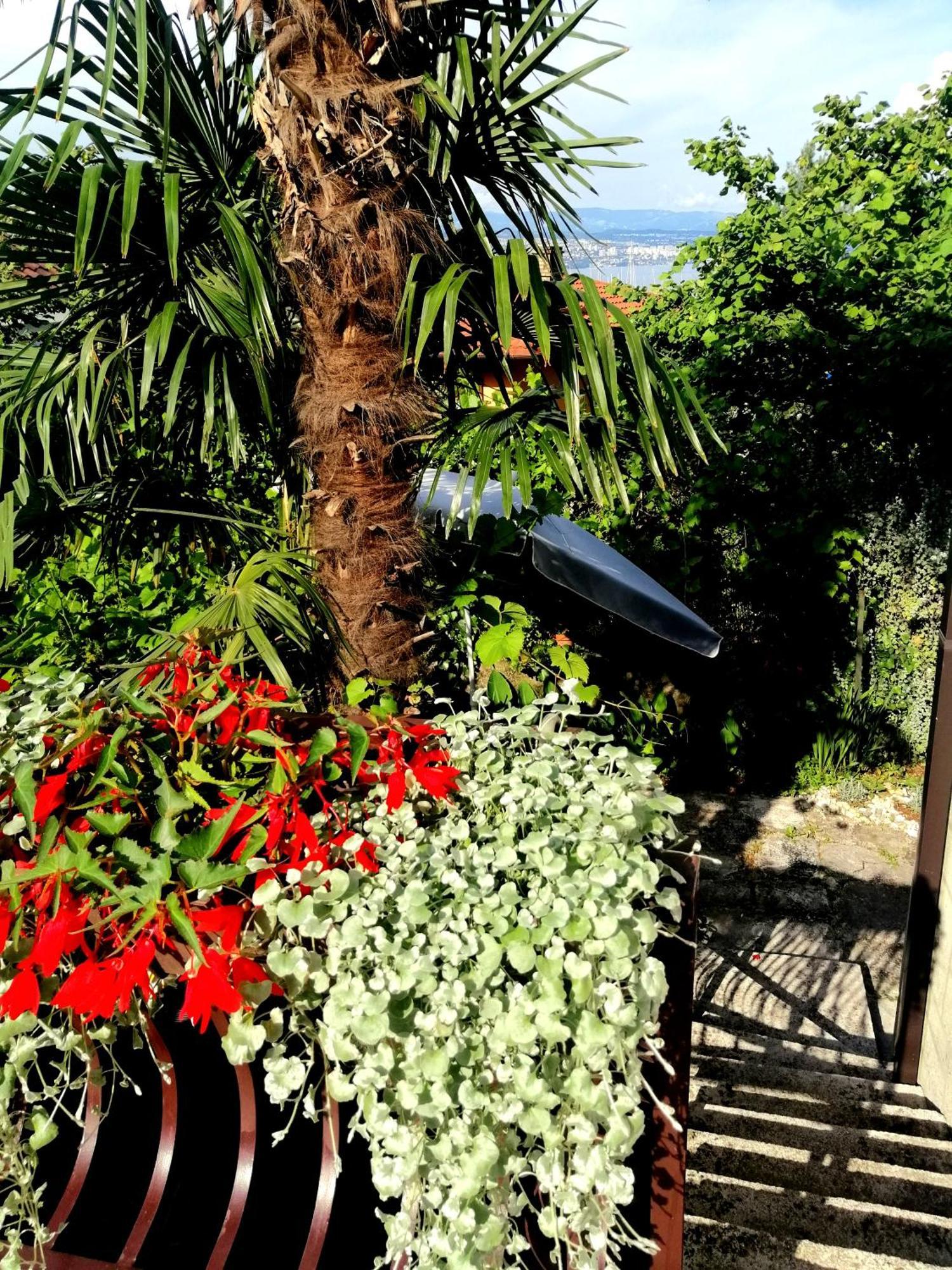 Apartment Sea Garden Ičići Dış mekan fotoğraf
