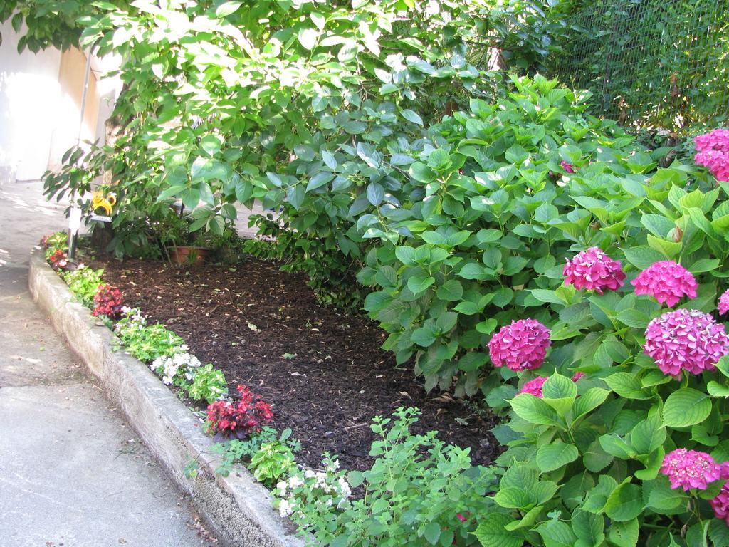 Apartment Sea Garden Ičići Dış mekan fotoğraf